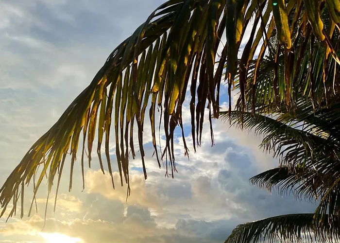 Kaan 4* Puerto Morelos
